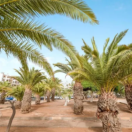 Daire Estudio Los Cristianos 7 *
